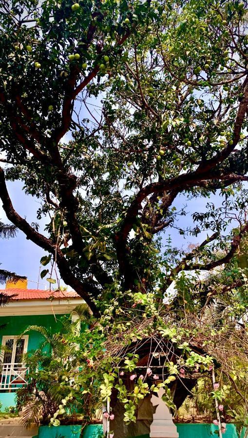 Stan-Inn, North Goa, Vagator, With Strong Wifi,Free Private Parking & Kitchen, Can Cook Where You Stay Экстерьер фото