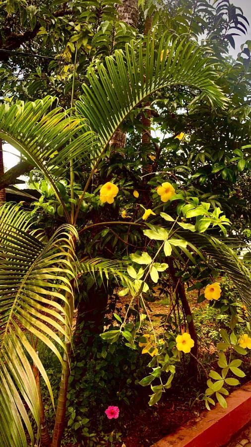 Stan-Inn, North Goa, Vagator, With Strong Wifi,Free Private Parking & Kitchen, Can Cook Where You Stay Экстерьер фото